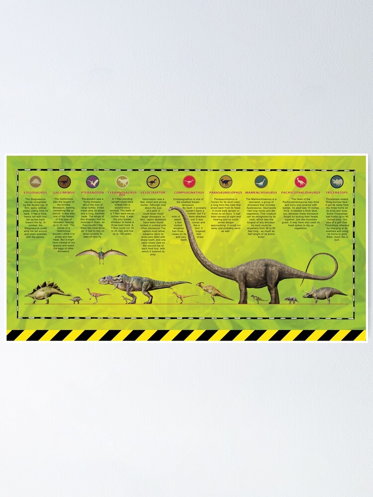 Dinosaur Chart Poster