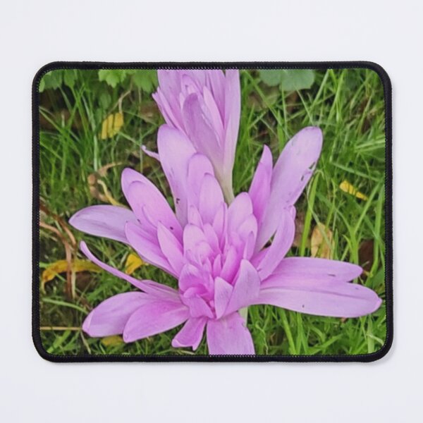 Item preview, The Autumn 'Lily' designed and sold by Flower Guard.