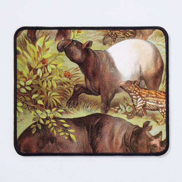 Item preview, South American Tapir and Malayan Tapir and Black Rhinoceros Vintage Chromolithograph by Hugh CraigPainting Animal Lover Gift designed and sold by ElegantTeaTime.