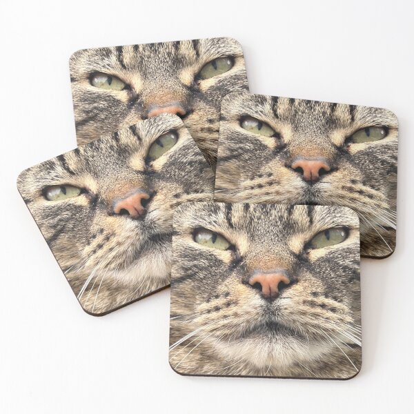Item preview, Boss cat  designed and sold by MadebymelissaUK.