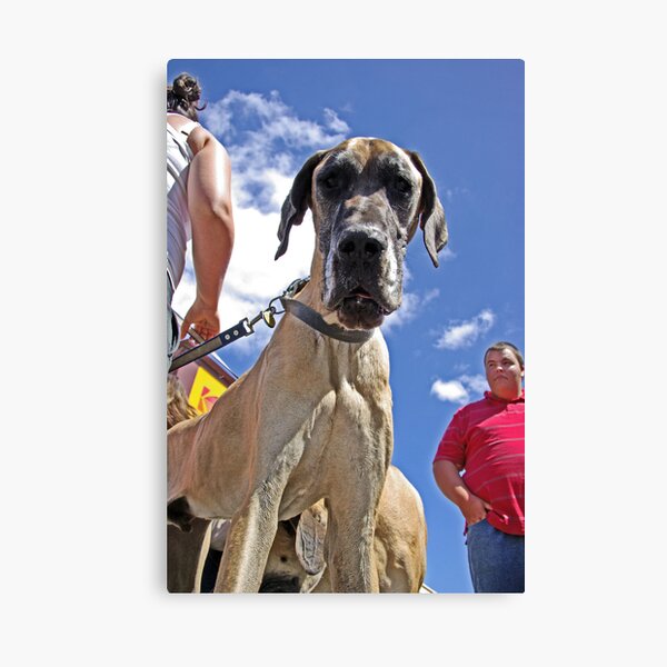 No more Photo's OK! Canvas Print