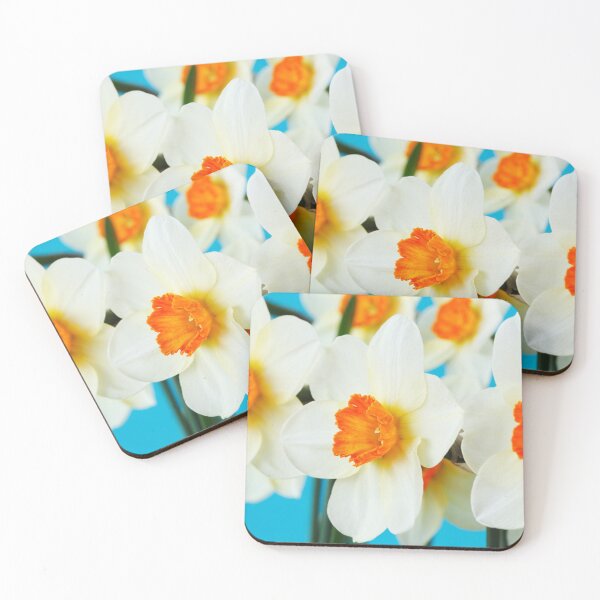 Item preview, Narcissus  'Barrett Browning'   Division 3  Small-cupped  Daffodil  designed and sold by Chris Burrows.