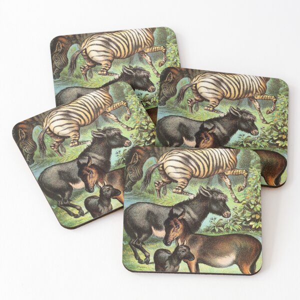 Item preview, Quagga Ass and Zebra and Wild Ass Vintage Chromolithograph by Hugh Craig Painting Animal Lover Gift designed and sold by ElegantTeaTime.