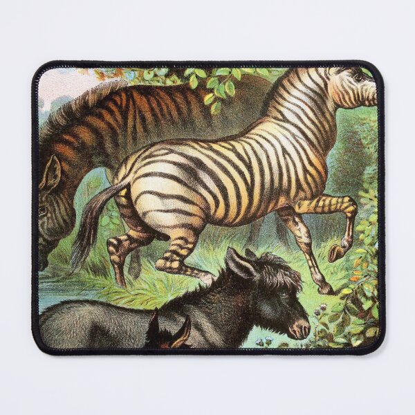 Item preview, Quagga Ass and Zebra and Wild Ass Vintage Chromolithograph by Hugh Craig Painting Animal Lover Gift designed and sold by ElegantTeaTime.