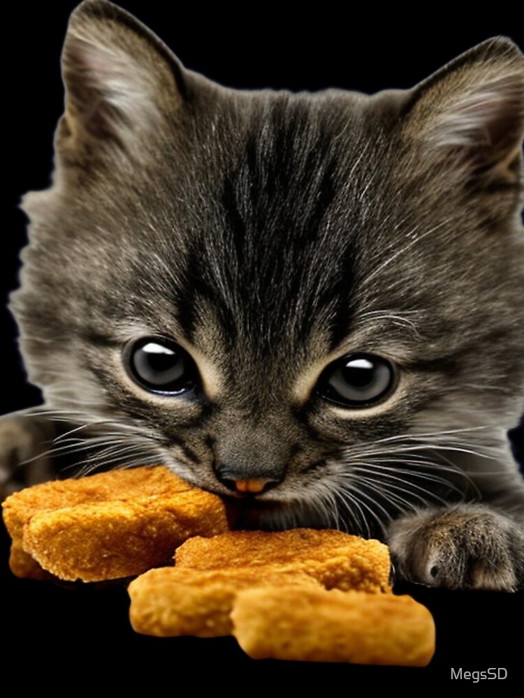 Kitten eating chicken best sale