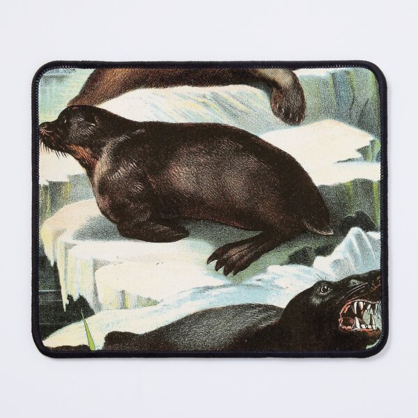Item preview, Sea Bear - Sea Lion - Sea Elephant - on Icebergs - Vintage Chromolithograph Painting Animal Lover Gift designed and sold by ElegantTeaTime.