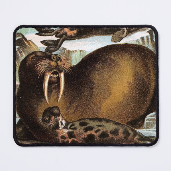 Item preview, True Seal - Walrus - Crested Seal - Harp Seal - on Icebergs - Vintage Chromolithograph Painting Animal Lover Gift designed and sold by ElegantTeaTime.