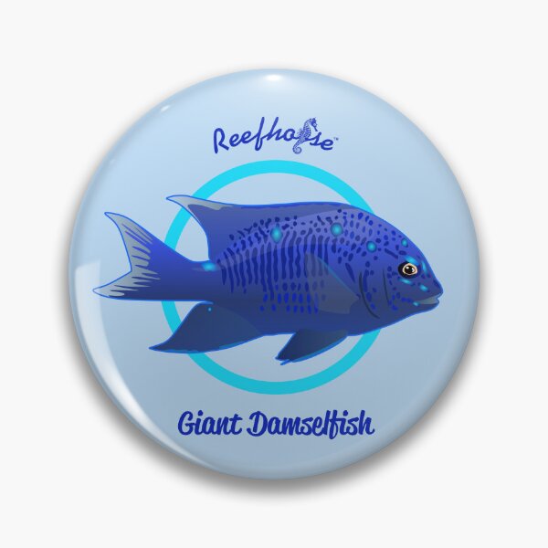 Item preview, Giant Damselfish designed and sold by KaplanCrypto.