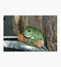 My Bucket Photographic Print