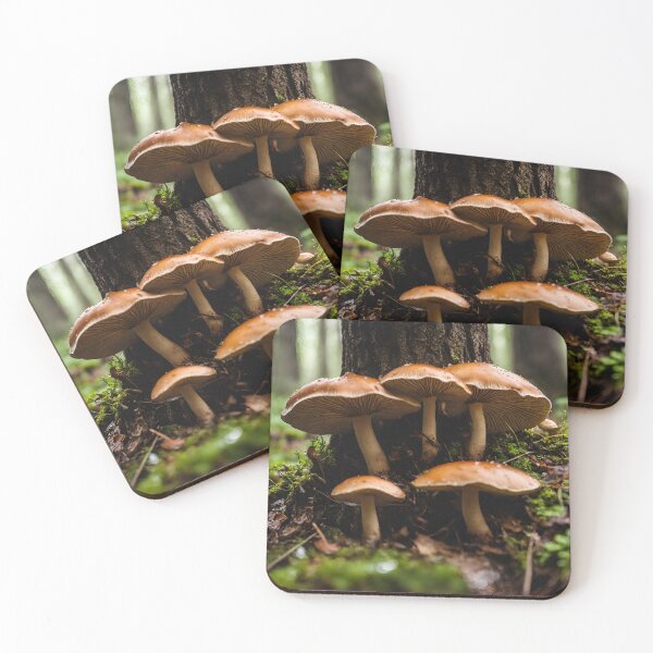 Item preview, Forest Mushroom Scene designed and sold by OldSoulInspired.