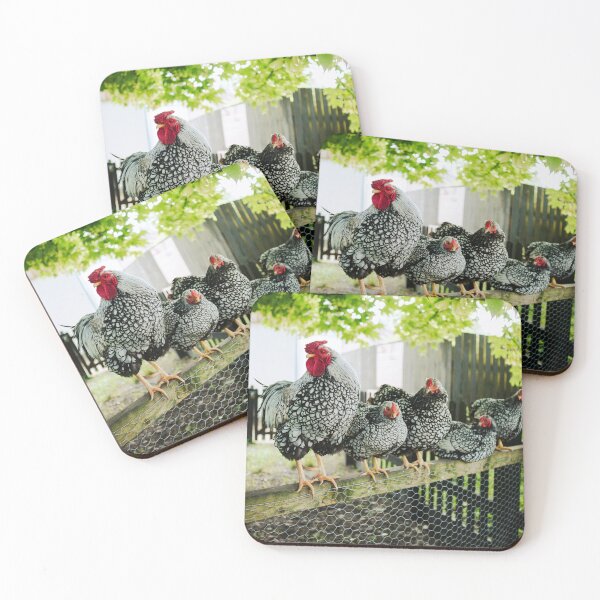 Item preview, Wyandotte Chicken Group Photo designed and sold by jdkdavies.