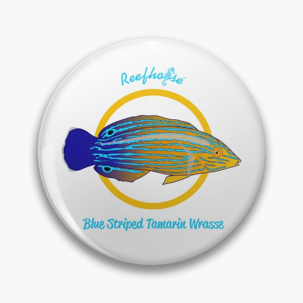 Item preview, Blue Striped Tamarin Wrasse designed and sold by KaplanCrypto.