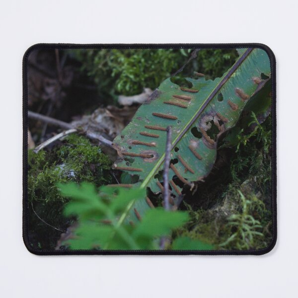 Item preview, Woodland Foliage designed and sold by jdkdavies.