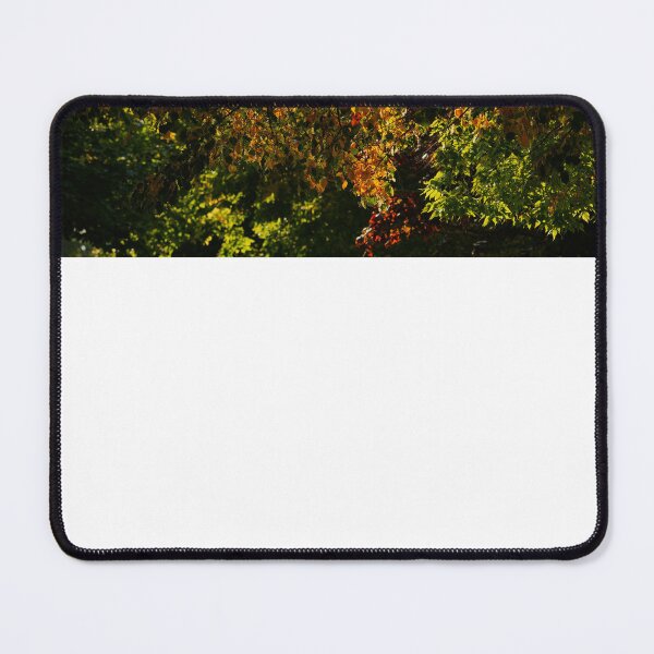 Item preview, Looking UP at the Beauty of Trees in Autumn designed and sold by fototaker Tony.