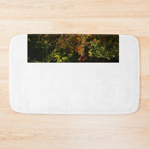 Item preview, Looking UP at the Beauty of Trees in Autumn designed and sold by fototaker Tony.