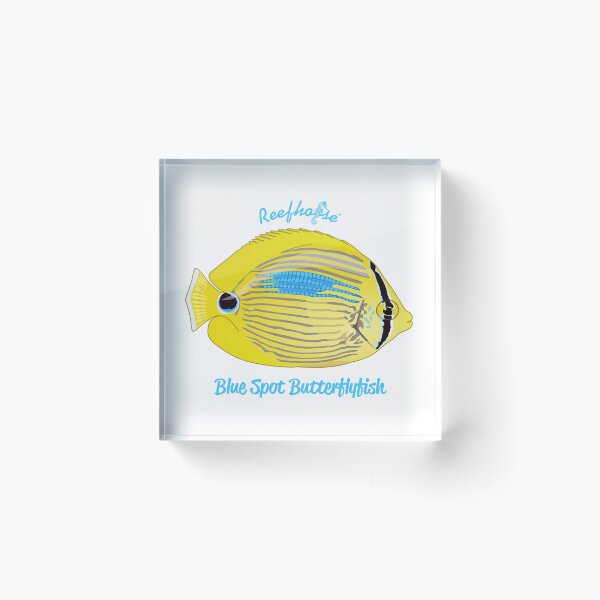 Item preview, Blue Spot Butterflyfish designed and sold by KaplanCrypto.