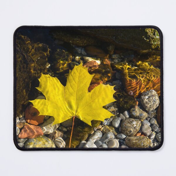 Item preview, Floating Bold Yellow Maple Leaf and Mercurial Sunlight Patterns designed and sold by Georgia Mizuleva.