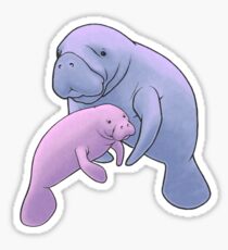 Manatee Jamboree Sticker