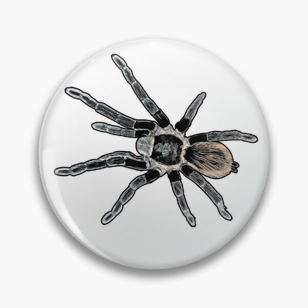 Item preview, Tliltocatl vagans designed and sold by AikasHeaven.