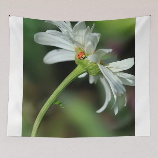 Item preview, Red ladybug sitting on flower designed and sold by olena2552.