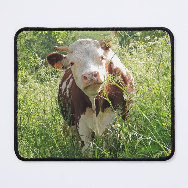 Item preview, Cow Bliss designed and sold by Alexandra Lavizzari.