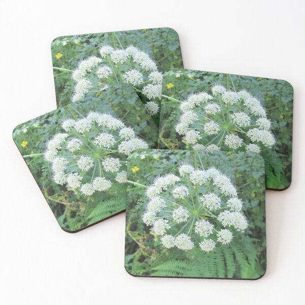 Item preview, Cow Parsley Head On designed and sold by lezvee.