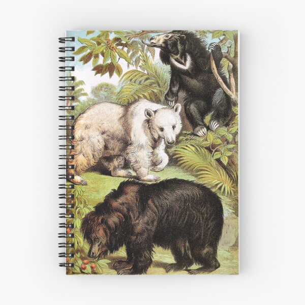 Artikelvorschau, Syrischer Bär - Faultierbär - Borneanischer Sonnenbär - Beeren essend - Vintage Chromolithographie Gemälde Tierliebhaber Geschenk entworfen und verkauft von ElegantTeaTime.