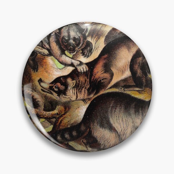 Item preview, Kinkajou Panda Coati Raccoon Agouara Vintage Chromolithograph Animal Lover Gift designed and sold by ElegantTeaTime.