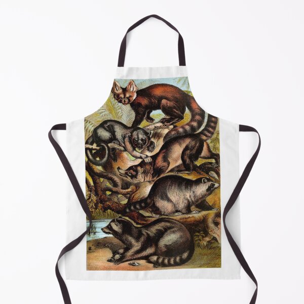 Item preview, Kinkajou Panda Coati Raccoon Agouara Vintage Chromolithograph Animal Lover Gift designed and sold by ElegantTeaTime.
