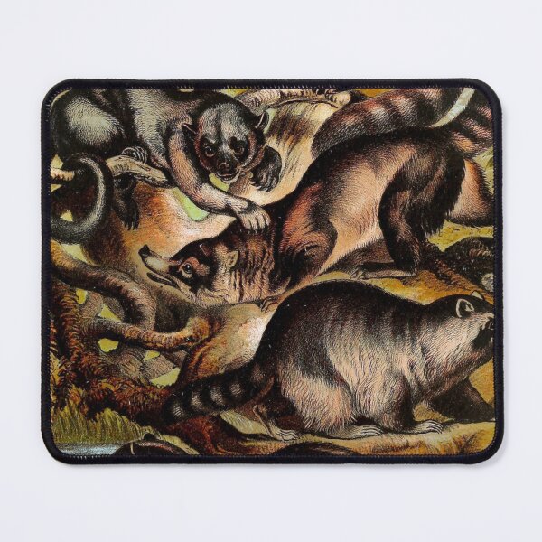 Item preview, Kinkajou Panda Coati Raccoon Agouara Vintage Chromolithograph Animal Lover Gift designed and sold by ElegantTeaTime.