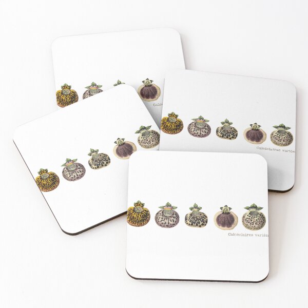 Item preview, Éclat Botanique Calceolaria Lady's Purse Flowers From Revue Horticole (1850) designed and sold by Coastal Garden Design Studio.
