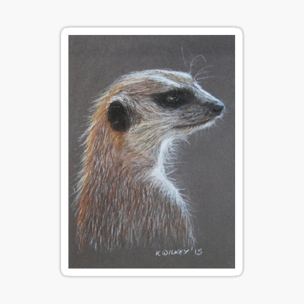 Meerkat Sticker
