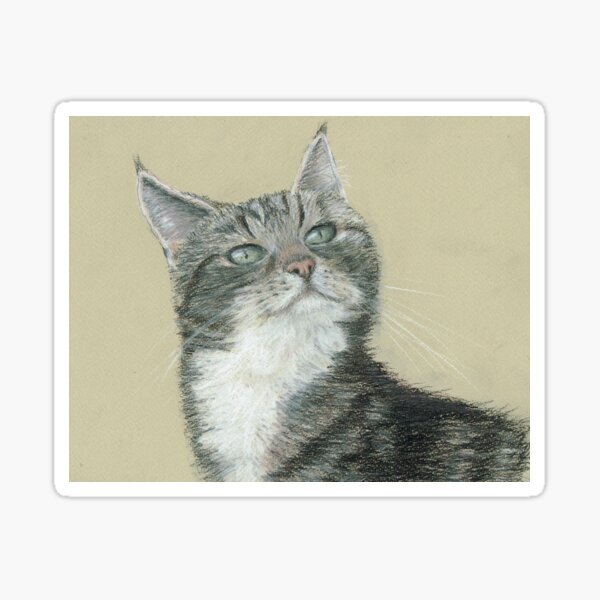 Tabby Cat Sticker