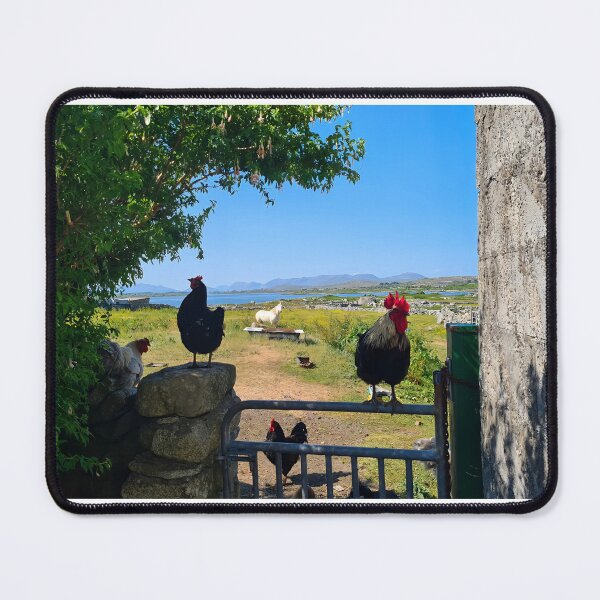 Item preview, Connemara Life - Muiceanach idir dhá Sháile  designed and sold by Johanna O Malley.