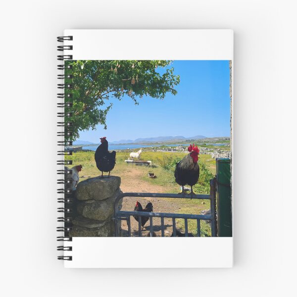 Item preview, Connemara Life - Muiceanach idir dhá Sháile  designed and sold by Johanna O Malley.