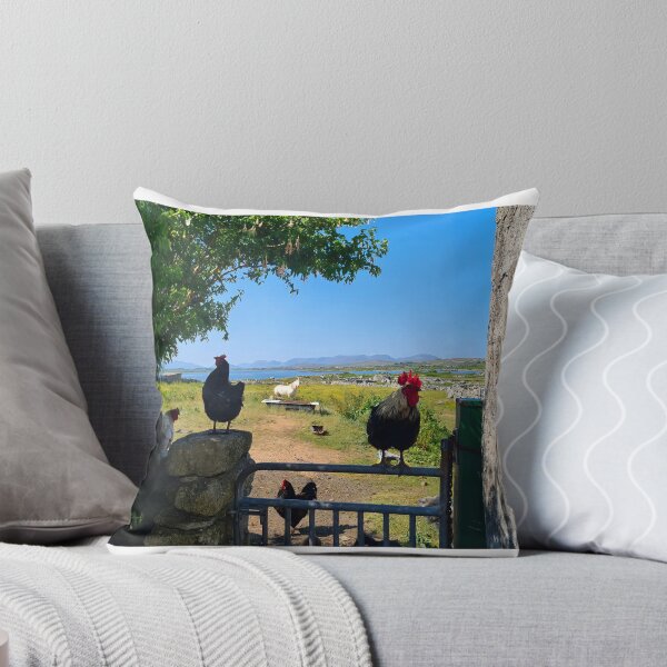 Item preview, Connemara Life - Muiceanach idir dhá Sháile  designed and sold by Johanna O Malley.
