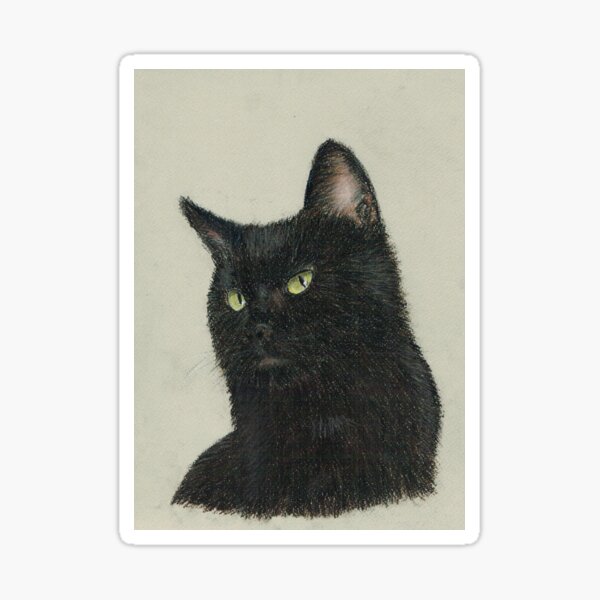 Black Cat Sticker