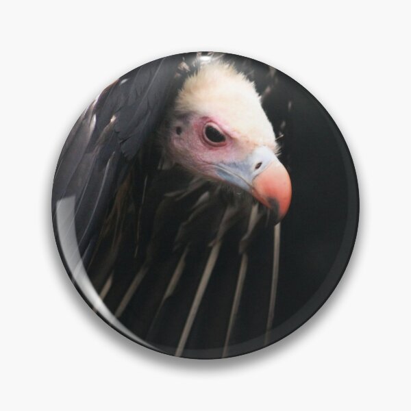 Item preview, Hiding Under My Wings designed and sold by Jo Nijenhuis.