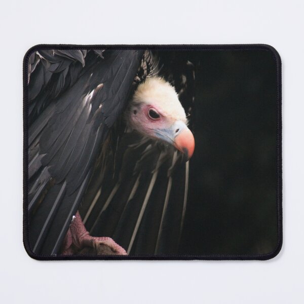Item preview, Hiding Under My Wings designed and sold by Jo Nijenhuis.