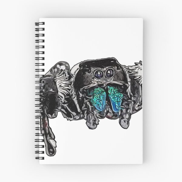 Item preview, Phidippus regius Everglades male designed and sold by AikasHeaven.
