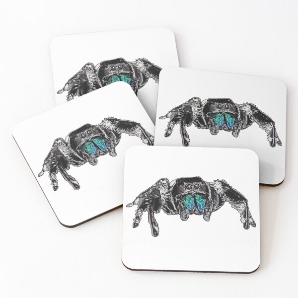 Item preview, Phidippus regius Everglades male designed and sold by AikasHeaven.