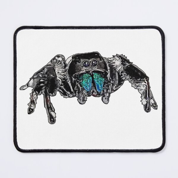 Item preview, Phidippus regius Everglades male designed and sold by AikasHeaven.