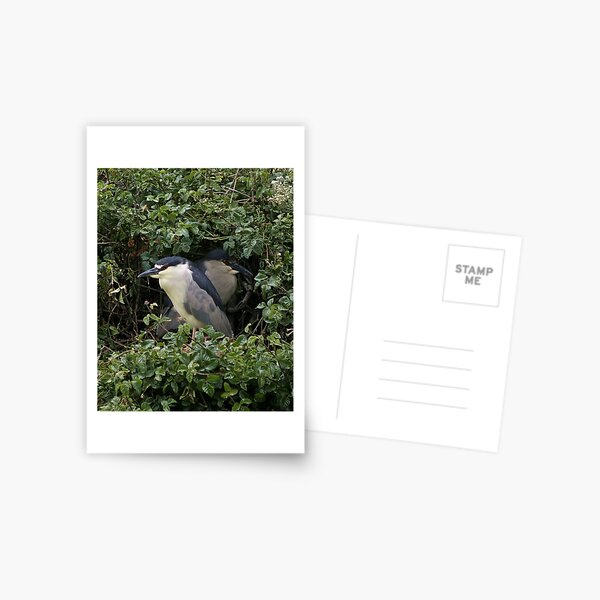 Hidden Postcard