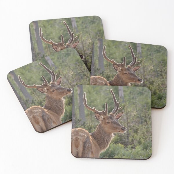 Item preview, Red deer in velvet designed and sold by WildEncounters.