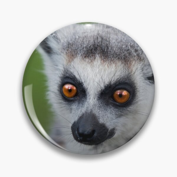 Item preview, Bright Eyes (Ring-Tailed Lemur) designed and sold by Krys Bailey.
