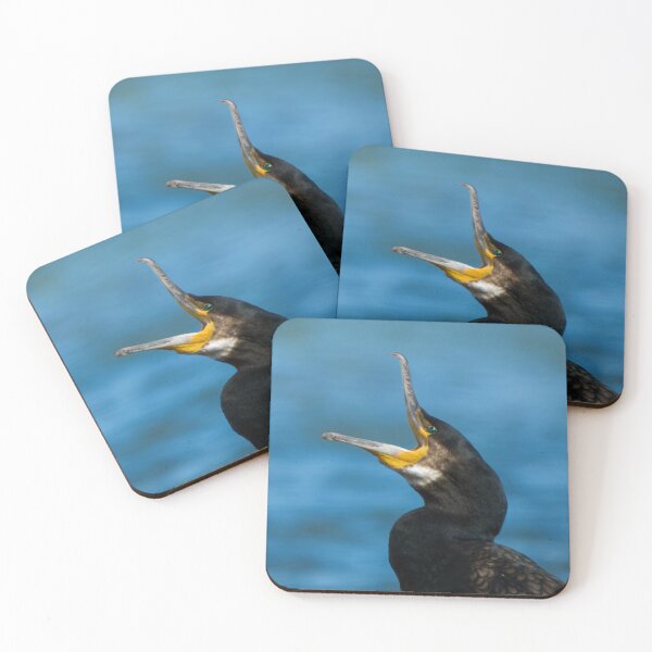 Item preview, Yawning black cormorant designed and sold by WildEncounters.