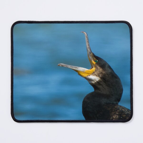Item preview, Yawning black cormorant designed and sold by WildEncounters.