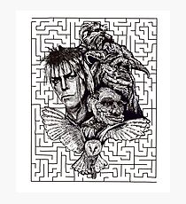 Labrynth Photographic Print