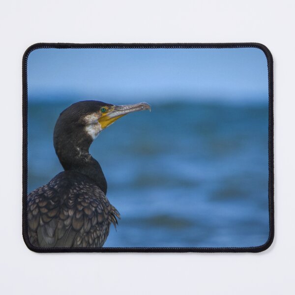 Item preview, Great cormoran at sea side designed and sold by WildEncounters.