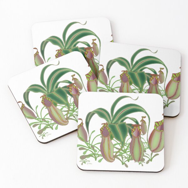 Item preview, Napenthes Pitcher Plant designed and sold by Jared Hobbs.